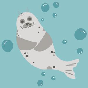 Phoque, illustration pour enfants
