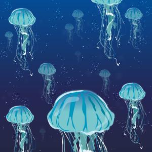 Illustration méduses pour Le Mystère des Faluns